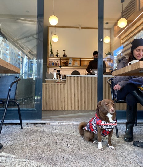 Hot Cup • Coffee & Bites •