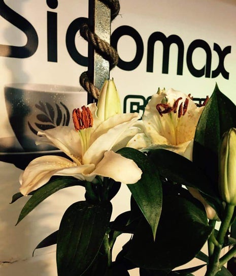 sidomax