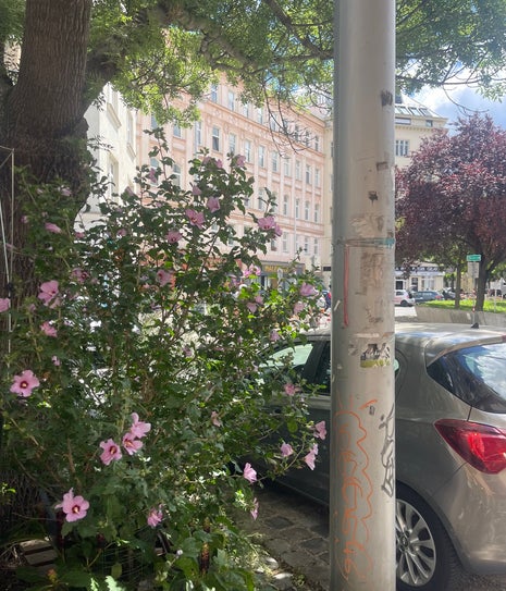 The Good Coffee Society 1020