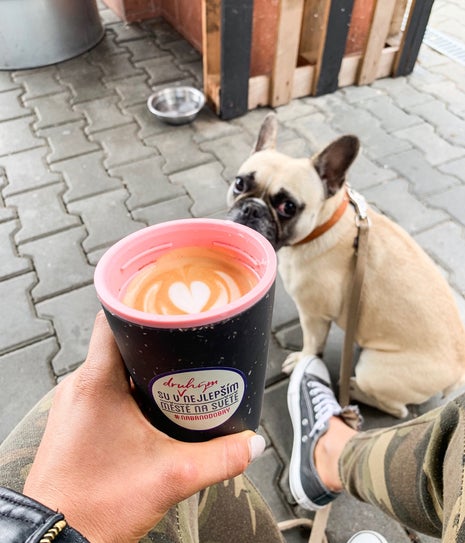 Rebelbean Espresso Bar