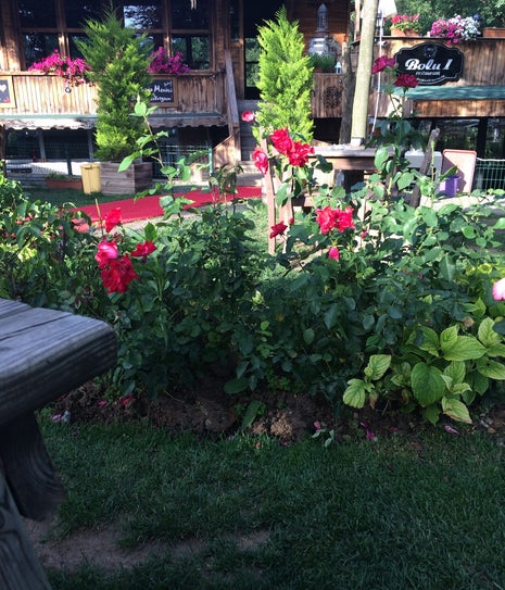 Garden Fiesta