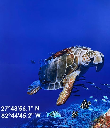 Perks Up! Coffee & Cocktails