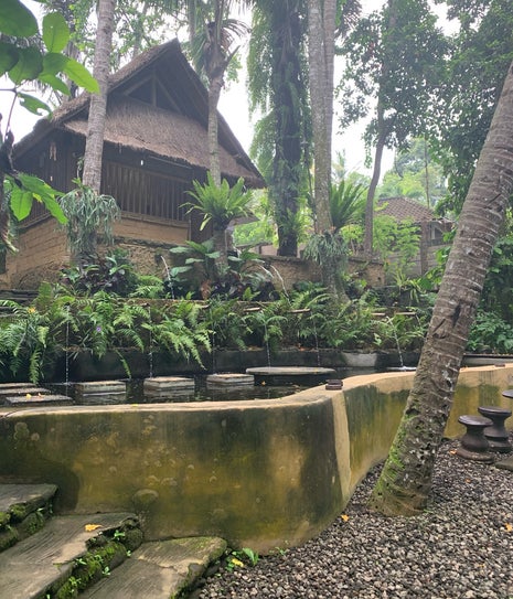 Ubud Mesari Luwak Coffee And Tea