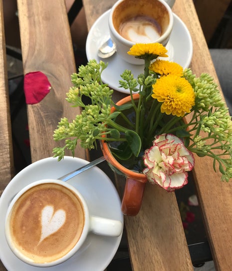 Terres de Café