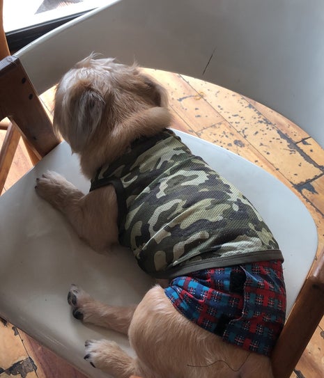 Coarse & Fine Coffee