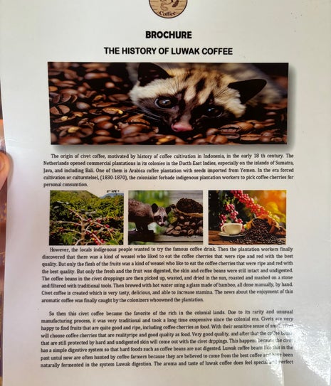 Goa Gajah Luwak Coffee