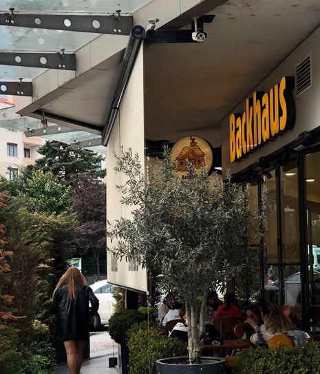 Backhaus