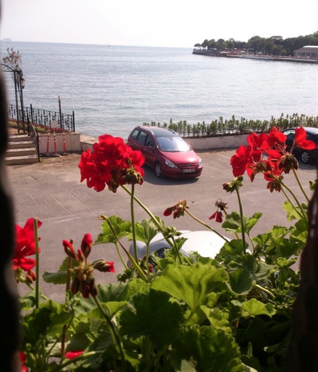 çuf çuf cafe