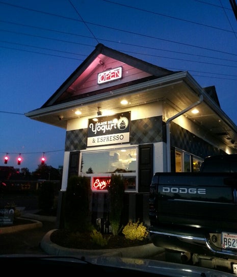 Black Bear Frozen Yogurt