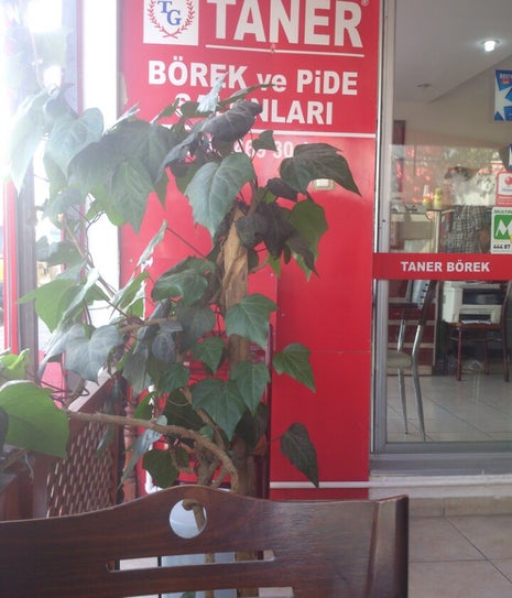 taner borek
