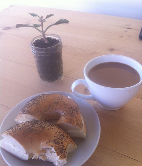 Washington Street Coffee House