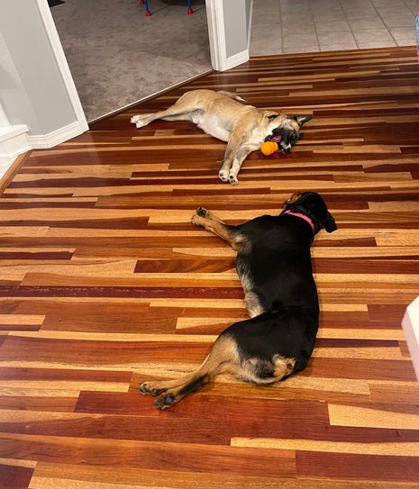 The Great North Coffee Company