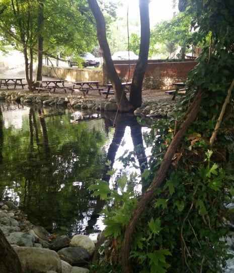 GÖLGESU