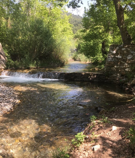 Şenyuva Şelale