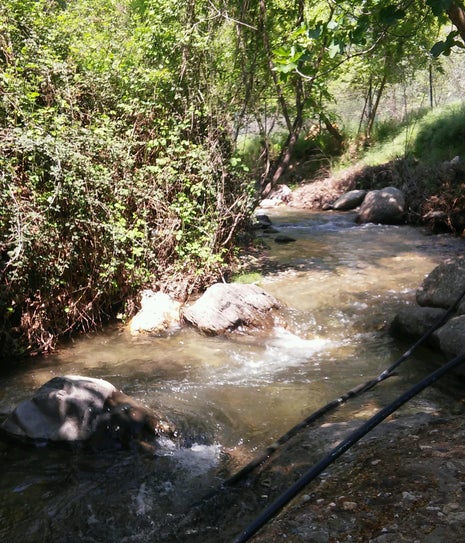 Efe Aile Piknik Yeri