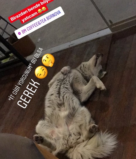 Brew Mood Coffee&Tea