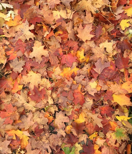 breaking bean coffee company