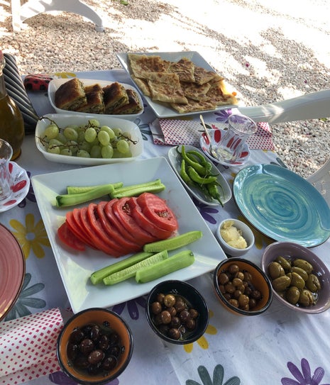 Defnenin Bahçesi