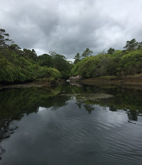 Revel Coffee And Cycle