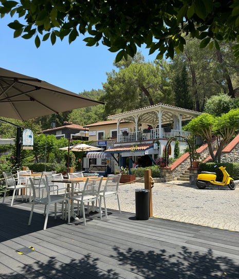 Dodo Cafe