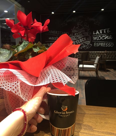 Gloria Jean's Coffees