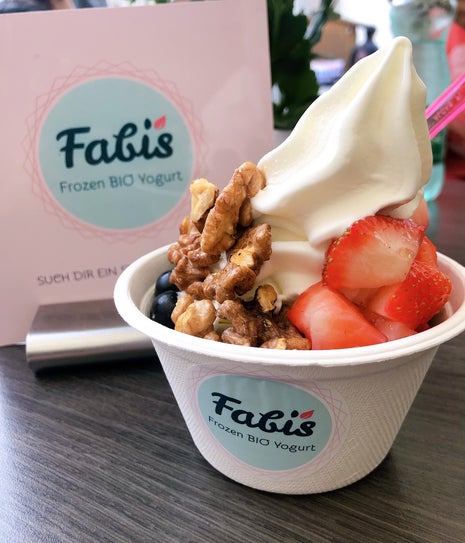 Fabi's Frozen Bio Yogurt