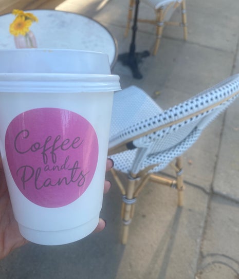 Coffee and Plants