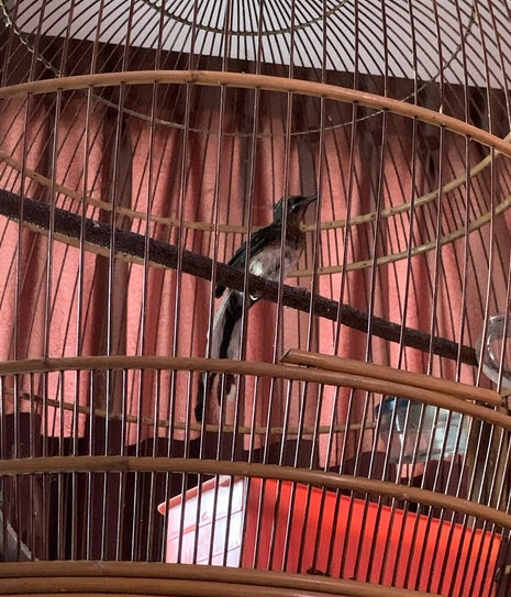 Nasken Coffee Pengkalan Chepa