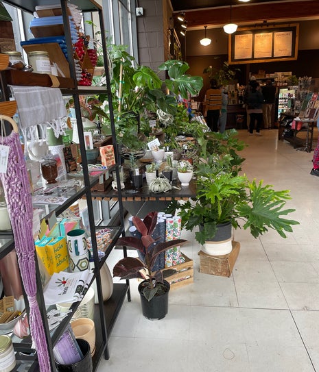 Rose City Coffee Co. - Sellwood