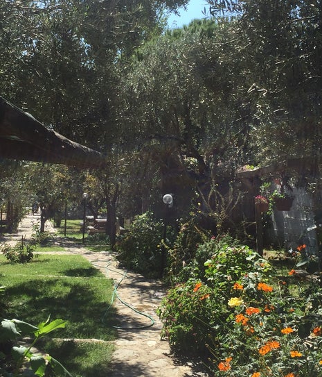 Zeytin Dağı Serpme Kahvaltı Evi