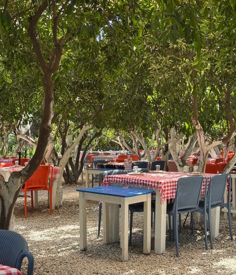 Kuytu Bahçe