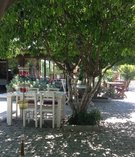 Limonatta