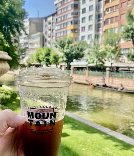Mountain Coffee Co.