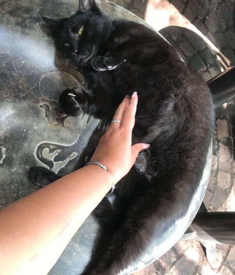 French Toast coffee shop