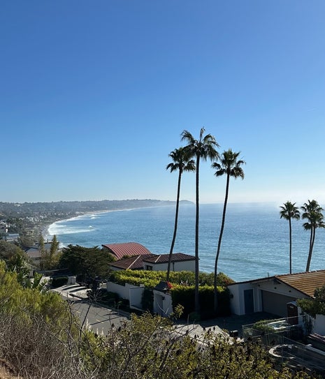 Tartine Santa Monica