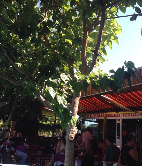 Yaylaköy Köy Evi Kahvaltı