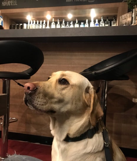 Eleven Kultúrbisztró