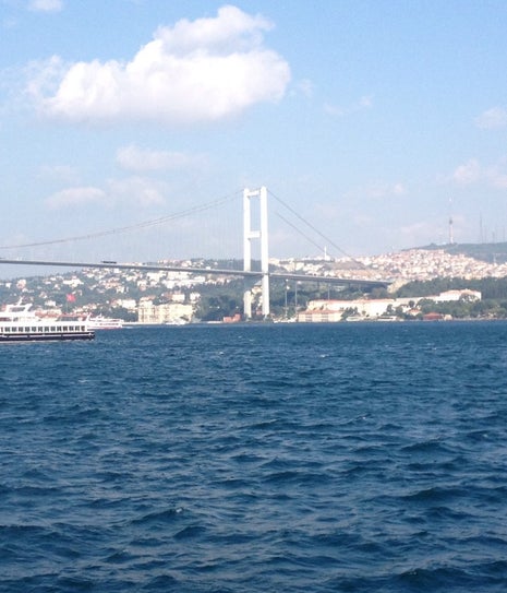 Hanımeli