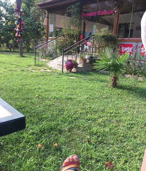 Pembe bahçe