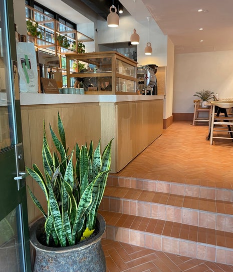 Afficionado Coffee Roasters