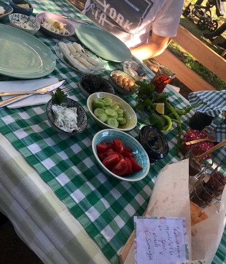 Nezihe Hanımın Bahçesi