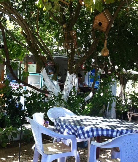 Deli Ali'nin Çiftliği