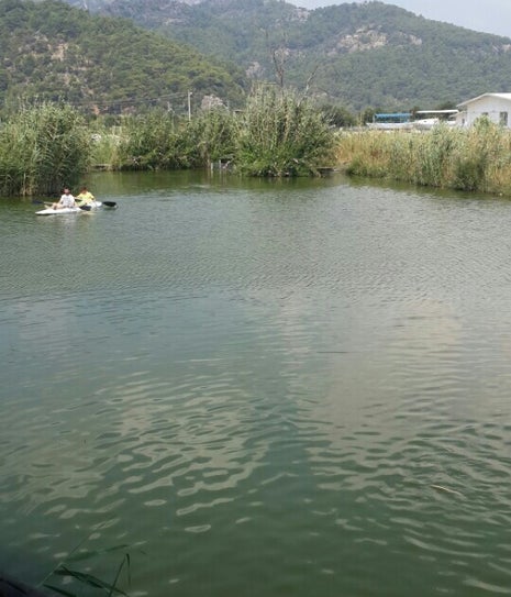 Park Beyaz