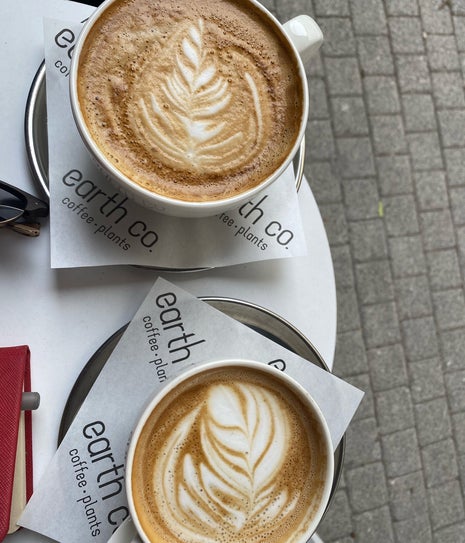 Earth Co. (Coffee | Plants)