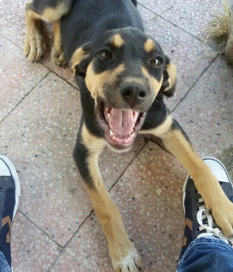 Çorbacı Zeki Dayının Yanındaki Çay Ocağının Önündeki İncir Ağacının Altı