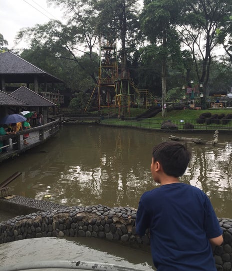 Double Dipps Donuts & Coffee
