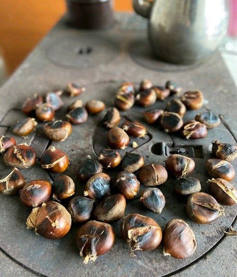 Gülçiçek Çay Ocağı