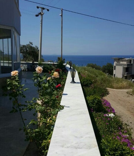 Elit Pastanesi