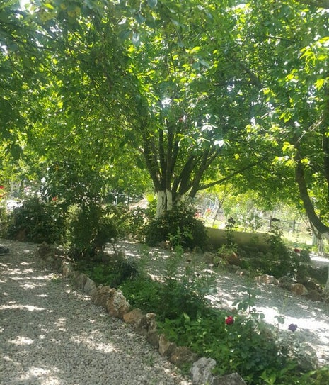 Kirazlı Bahçe