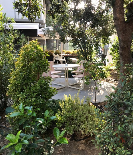 Kronotrop Levent